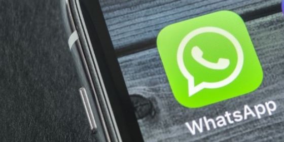 WhatsApp Symbol auf Smartphone